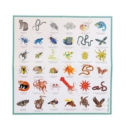 MEMORY DES ANIMAUX TOUT AUTOUR DU MONDE 719364 MOULIN ROTY