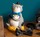  TIRELIRE CHAT LES MOUSTACHES 666170 MOULIN ROTY