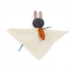 DOUDOU PLAT LUNE APRES LA PLUIE 715016 MOULIN ROTY